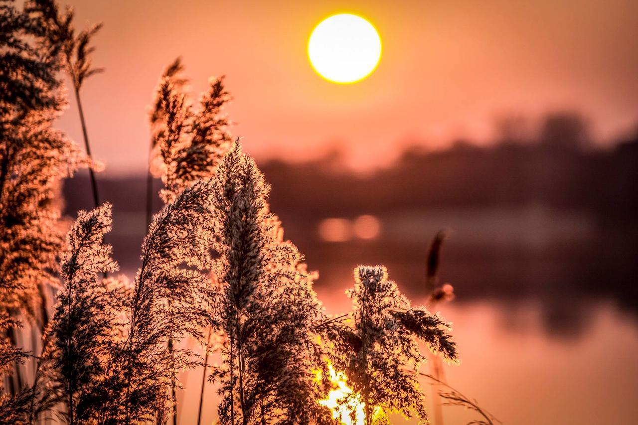 Hotel Marina Club أولشتين المظهر الخارجي الصورة Sunset over the river